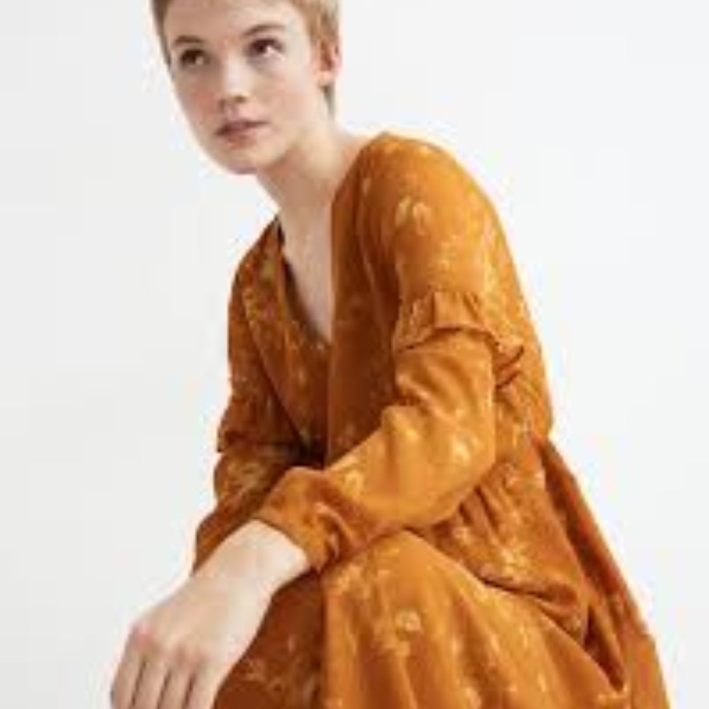 Madewell Ruffle-Sleeve Button-Front Dress